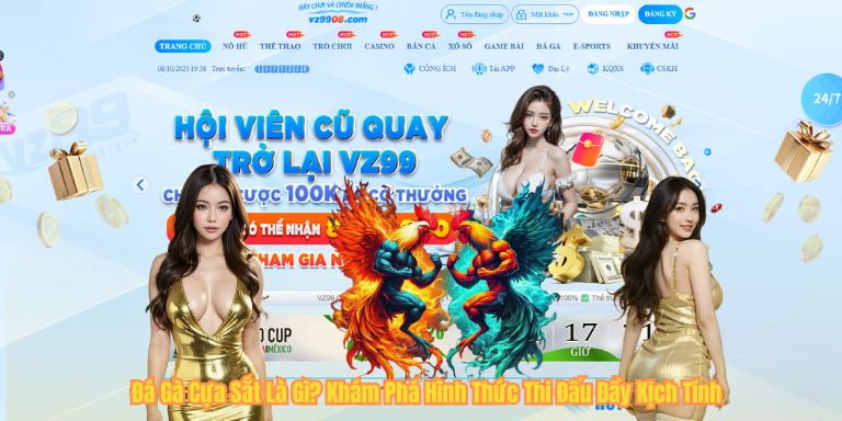 Đá Gà Cựa Sắt Là Gì? Khám Phá Hình Thức Thi Đấu Đầy Kịch Tính Đá Gà Cựa Sắt Là Gì? Khám Phá Hình Thức Thi Đấu Đầy Kịch Tính